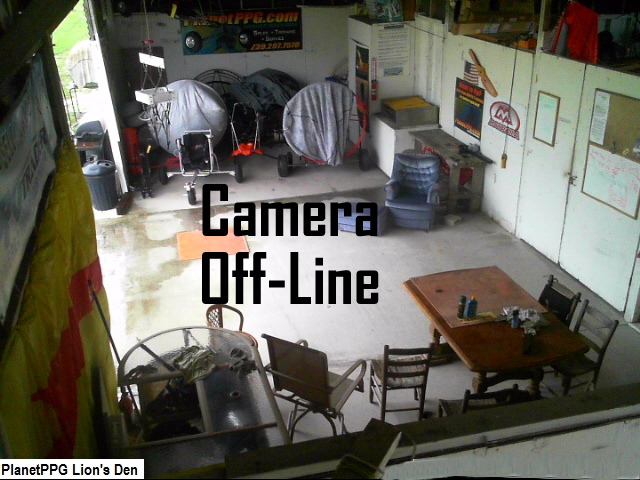 Lions den webcam photo